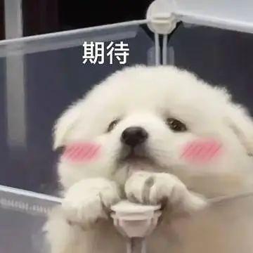 娱乐圈八卦吃瓜聊天记录,明星私生活大曝光